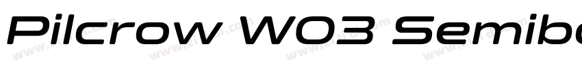 Pilcrow W03 Semibold字体转换